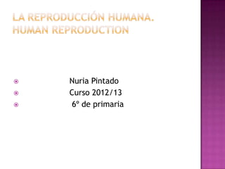    Nuria Pintado
   Curso 2012/13
    6º de primaria
 