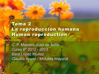 Tema 2
La reproducción humana
Human reproduction

C. P. Maestro Juan de Ávila
Curso 6º 2012 - 2013
Sara López Muñoz
Claudia Ayuso - Morales Mayoral
 