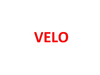 VELO

 