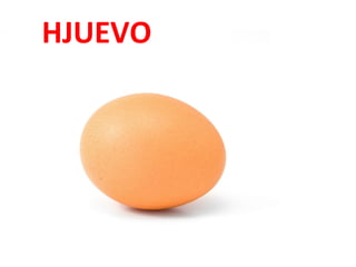 HJUEVO

 
