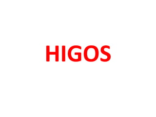 HIGOS

 