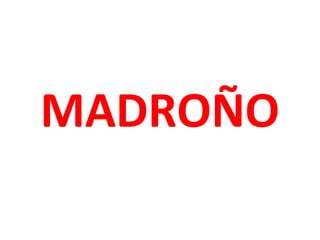 MADROÑO

 