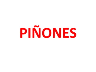 PIÑONES

 