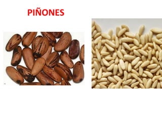 PIÑONES

 