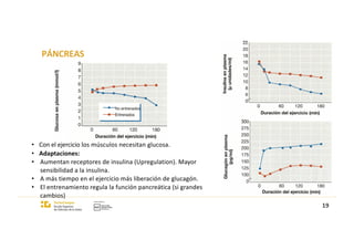 PÁNCREAS
• Con el ejercicio los músculos necesitan glucosa.
• Adaptaciones:
• Aumentan receptores de insulina (Upregulation). Mayor
sensibilidad a la insulina.
• A más tiempo en el ejercicio más liberación de glucagón.
• El entrenamiento regula la función pancreática (si grandes
cambios)
19
 
