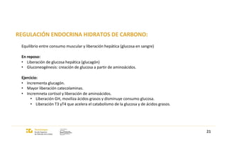 REGULACIÓN ENDOCRINA HIDRATOS DE CARBONO:
21
Equilibrio entre consumo muscular y liberación hepática (glucosa en sangre)
En reposo:
• Liberación de glucosa hepática (glucagón)
• Gluconeogénesis: creación de glucosa a partir de aminoácidos.
Ejercicio:
• Incrementa glucagón.
• Mayor liberación catecolaminas.
• Incremneta cortisol y liberación de aminoácidos.
• Liberación GH, moviliza ácidos grasos y disminuye consumo glucosa.
• Liberación T3 yT4 que acelera el catabolismo de la glucosa y de ácidos grasos.
 