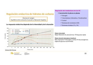 Regulación endocrina de hidratos de carbono
Glucosa en sangre:
Equilibrio entre consumo muscular y liberación hepática
La respuesta endocrina depende de la intensidad y de la duración
Mayor intensidad:
Mayor liberación de catecolaminas à Respuesta rápida
Mayor duración (glucógeno hepático):
Más importante à Glucagón y cortisol à Gluconeogénesis
Ingesta de glucosa recomendada
Ciclismo 65% VO2max
22
 