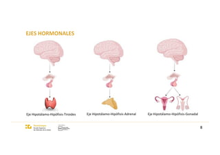 EJES HORMONALES
Eje Hipotálamo-Hipófisis-Tiroides
8
Eje Hipotálamo-Hipófisis-Adrenal Eje Hipotálamo-Hipófisis-Gonadal
 