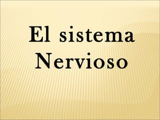El sistema
Nervioso
 