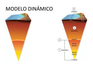 MODELO DINÁMICO 