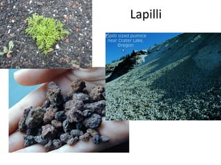 Lapilli 