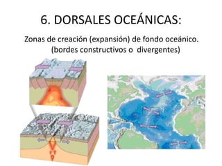 6. DORSALES OCEÁNICAS: Zonas de creación (expansión) de fondo oceánico. (bordes constructivos o  divergentes) 