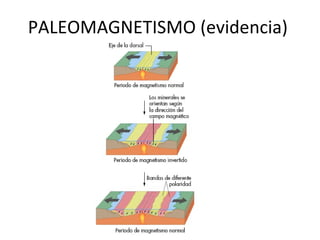 PALEOMAGNETISMO (evidencia) 