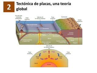 2
Tectónica de placas, una teoría
global
 