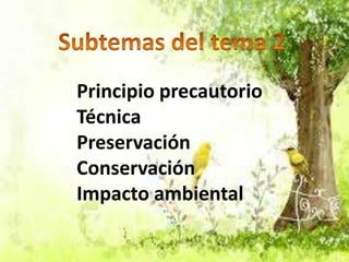 Principio precautorio
Técnica
Preservación
Conservación
Impacto ambiental

 
