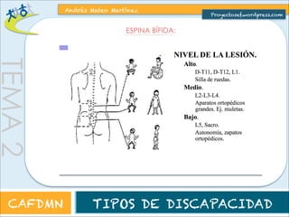 ORIENTACIONES METODOLÓGICAS: 
Aspectos motrices a trabajar: 
TEMA 2 
Andrés Mateo Martínez 
Proyectosef.wordpress.com 
CAFDMN TIPOS DE DISCAPACIDAD 
 