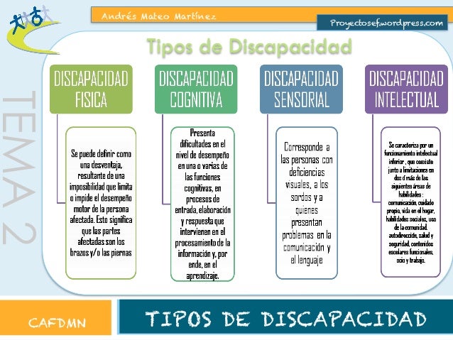 Tipos de discapacidad