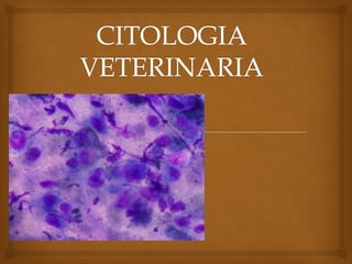 Comprehensive Guide to Veterinary Sample Collection and Cytology ...