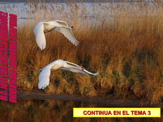 CONTINUA EN EL TEMA 3 M.C. JOSE LUIS CASTILLO DOMINGUEZ UNIVERSIDAD AUTONOMA CHAPINGO 