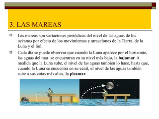 3. LAS MAREAS
   Las mareas son variaciones periódicas del nivel de las aguas de los
    océanos por efecto de los movimientos y atracciones de la Tierra, de la
    Luna y el Sol.
   Cada día se puede observar que cuando la Luna aparece por el horizonte,
    las aguas del mar se encuentran en su nivel más bajo, la bajamar. A
    medida que la Luna sube, el nivel de las aguas también lo hace, hasta que,
    cuando la Luna se encuentra en su cenit, el nivel de las aguas también
    sube a sus cotas más altas, la pleamar.
 