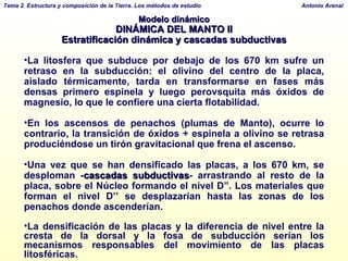 Modelo dinámico DINÁMICA DEL MANTO II Estratificación dinámica y cascadas subductivas La litosfera que subduce por debajo de los 670 km sufre un retraso en la subducción: el olivino del centro de la placa, aislado térmicamente, tarda en transformarse en fases más densas primero espinela y luego perovsquita más óxidos de magnesio, lo que le confiere una cierta flotabilidad. En los ascensos de penachos (plumas de Manto), ocurre lo contrario, la transición de óxidos + espinela a olivino se retrasa produciéndose un tirón gravitacional que frena el ascenso.  Una vez que se han densificado las placas, a los 670 km, se desploman - cascadas subductivas -   arrastrando al resto de la placa, sobre el Núcleo formando el nivel D”. Los materiales que forman el nivel D’’ se desplazarían hasta las zonas de los penachos donde ascenderían. La densificación de las placas y la diferencia de nivel entre la cresta de la dorsal y la fosa de subducción serían los mecanismos responsables del movimiento de las placas litosféricas. 