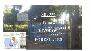 SIL-336
Tema 2
VIVEROS
FORESTALES
 