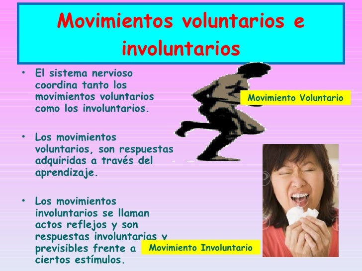 Función de Relación