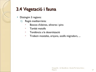 3.4 Vegetació i fauna Distingim 3 regions: Regió mediterrània: Boscos d’alzines, oliveres i pins També matolls Tendència a la desertització Trobem mosteles, eriçons, ocells migradors, ... Geografia - 2n Batxillerat - Escola Pia Santa Anna - Mataró 