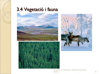 3.4 Vegetació i fauna Geografia - 2n Batxillerat - Escola Pia Santa Anna - Mataró 