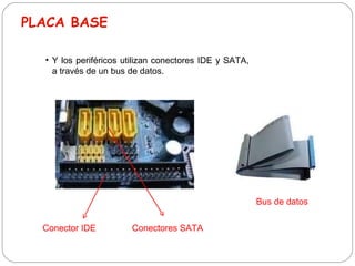 PLACA BASE <ul><li>Y los periféricos utilizan conectores IDE y SATA, a través de un bus de datos. </li></ul>Conector IDE C...