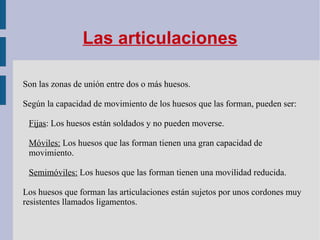 La musculatura:  Es el conjunto de músculos del organismo. Los  