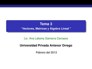 Tema 3
“Vectores, Matrices y Álgebra Lineal "
Lic. Ana Laksmy Gamarra Carrasco
Universidad Privada Antenor Orrego
Febrero del 2013
 