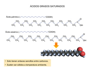 • Solo tienen enlaces sencillos entre carbonos.
• Suelen ser sólidos a temperatura ambiente.
ÁCIDOS GRASOS SATURADOS
 
