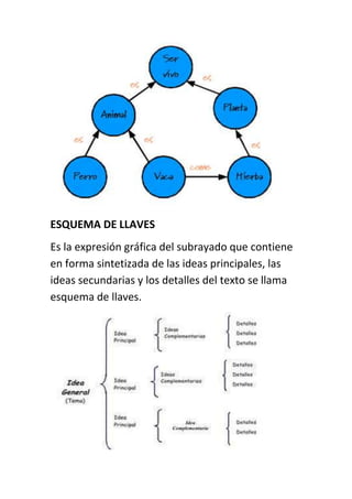 ESQUEMA DE LLAVES
Es la expresión gráfica del subrayado que contiene
en forma sintetizada de las ideas principales, las
id...