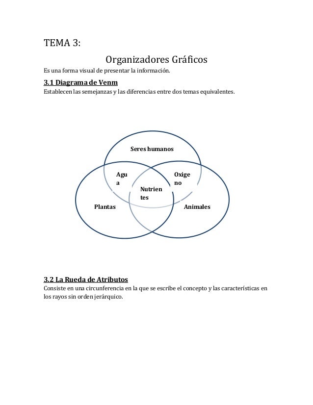 organizadores graficos tema 3