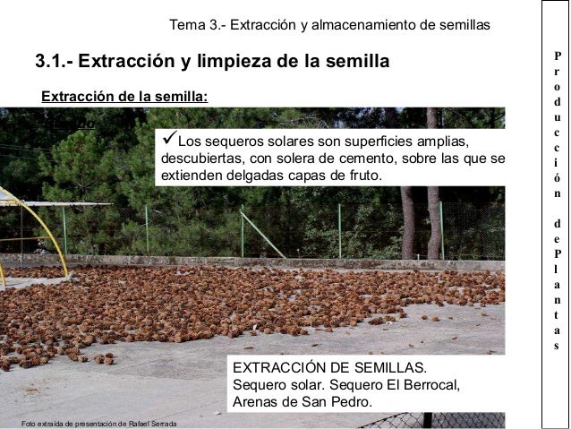 Tema 3. extracción y almacenamiento de las semillas