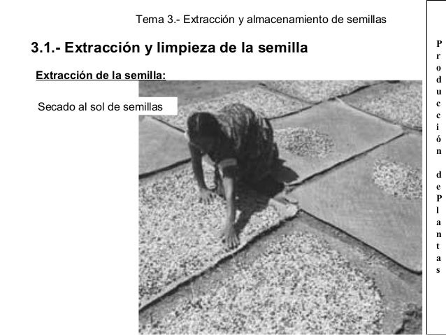 Tema 3. extracción y almacenamiento de las semillas