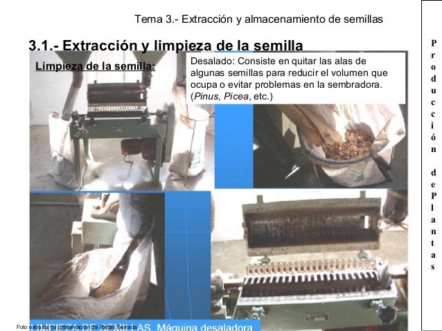 Tema 3. extracción y almacenamiento de las semillas