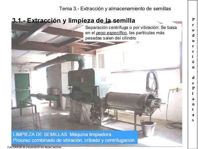 Tema 3. extracción y almacenamiento de las semillas