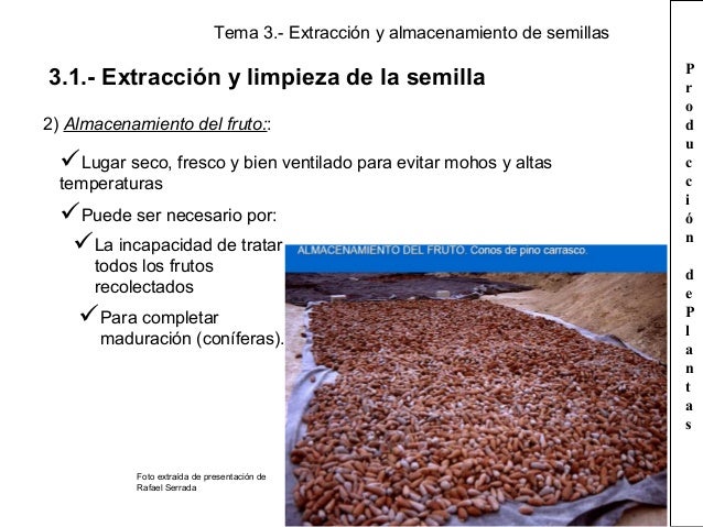 Tema 3. extracción y almacenamiento de las semillas