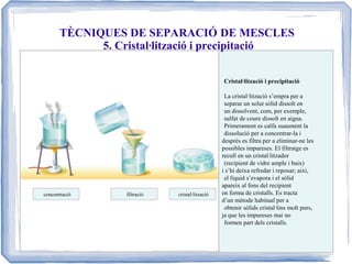 TÈCNIQUES DE SEPARACIÓ DE MESCLES
5. Cristal·lització i precipitació
Cristal·lització i precipitació

concentració

filtració

cristal·lització

La cristal·lització s’empra per a
separar un solut sòlid dissolt en
un dissolvent, com, per exemple,
sulfat de coure dissolt en aigua.
Primerament es calfa suaument la
dissolució per a concentrar-la i
després es filtra per a eliminar-ne les
possibles impureses. El filtratge es
recull en un cristal·litzador
(recipient de vidre ample i baix)
i s’hi deixa refredar i reposar; aixi,
el líquid s’evapora i el sòlid
apareix al fons del recipient
en forma de cristalls. Es tracta
d’un mètode habitual per a
obtenir sòlids cristal·lins molt purs,
ja que les impureses mai no
formen part dels cristalls.

 