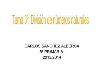 CARLOS SANCHEZ ALBERCA
5º PRIMARIA
2013/2014

 