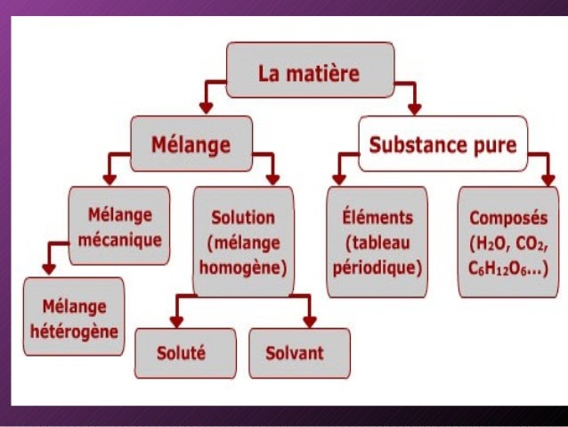 Comme apprendre il y a chez le chat des parasites