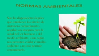 Son las disposiciones legales
que establecen los niveles de
sustancias contaminantes
negable sea inseguro para la
salud del ser humano y del
medio ambiente, estas reglas
nos permiten cuidar el medio
ambiente y no nos permite
contaminarlo.