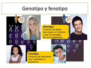 Genotipo y fenotipo
 