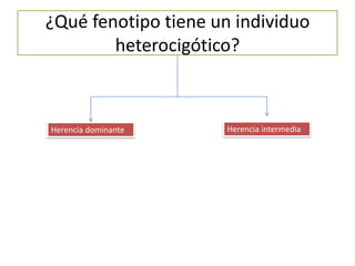 ¿Qué fenotipo tiene un individuo
heterocigótico?
Herencia dominante Herencia intermedia
 