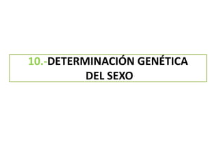 10.-DETERMINACIÓN GENÉTICA
DEL SEXO
 