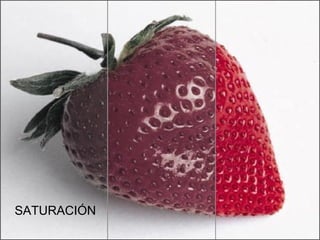 SATURACIÓN
 