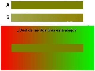 ¿Cuál de las dos tiras está abajo?
 