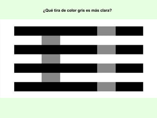 ¿Qué tira de color gris es más clara?
 
